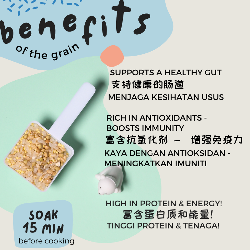 Little Baby Grains 750g Lets Nourish 15m+