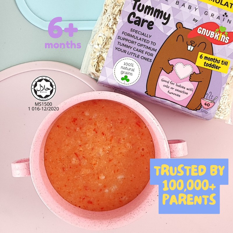 Little Baby Grains 520g Tummy Care 6m+