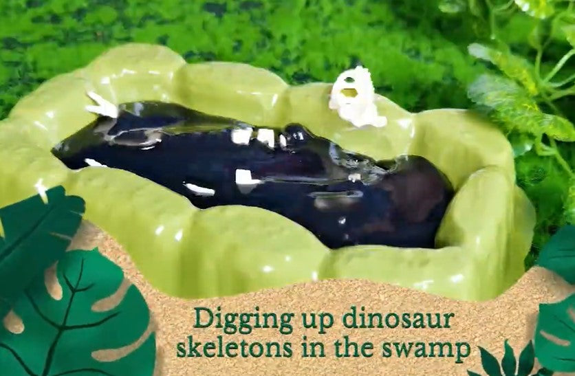 STEM Exploring Prehistoric Life