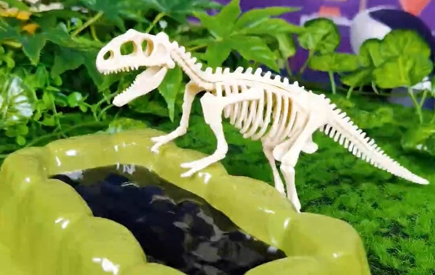 STEM Exploring Prehistoric Life