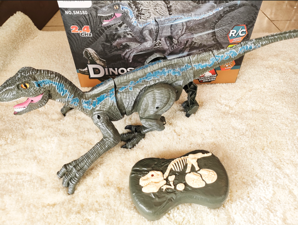Remote Control Dinosaur - Grey