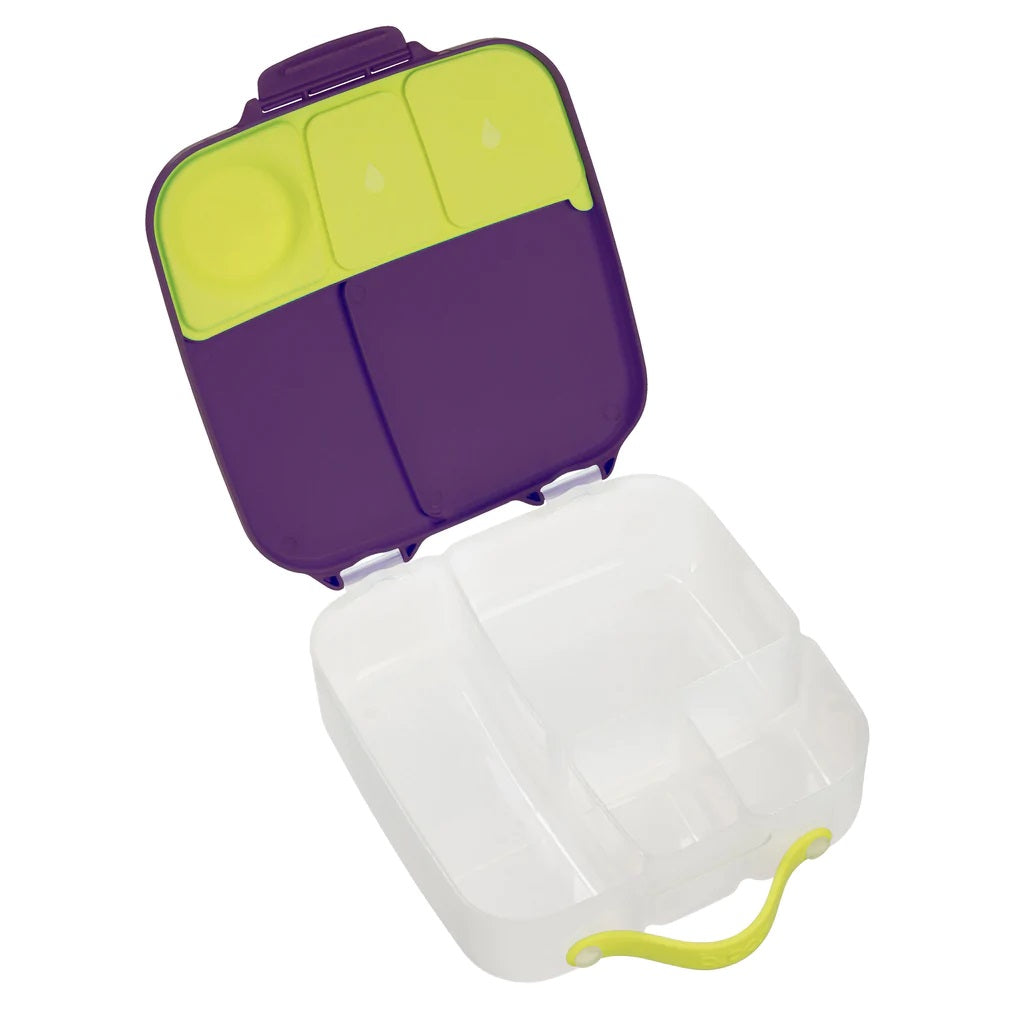 b.Box Lunchbox - Passion Splash