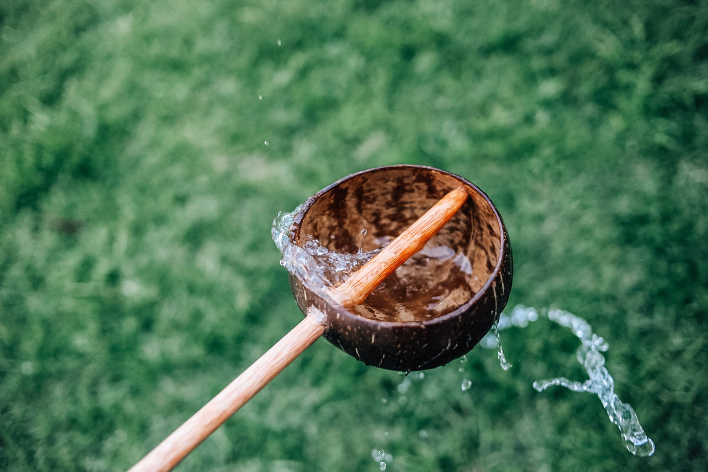 QToys Coconut Water Scoop