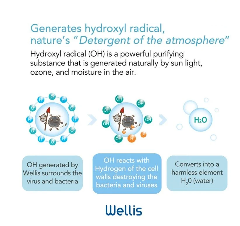 Wellis Air Disinfectant (PRELOVED / DEMO UNITS)