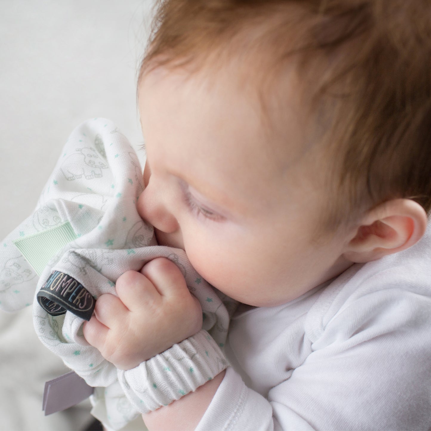 Cheeky Chompers Muslin Comforter Rosy Days
