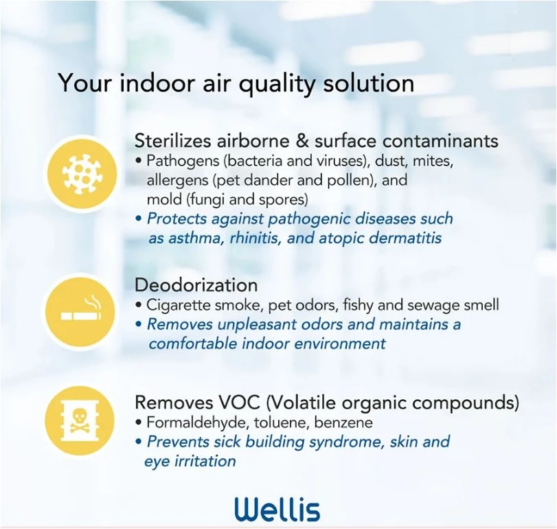 Wellis Air Disinfectant (PRELOVED / DEMO UNITS)
