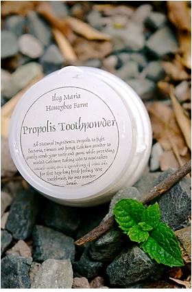 Ilog Maria Propolis Toothpowder - 90g