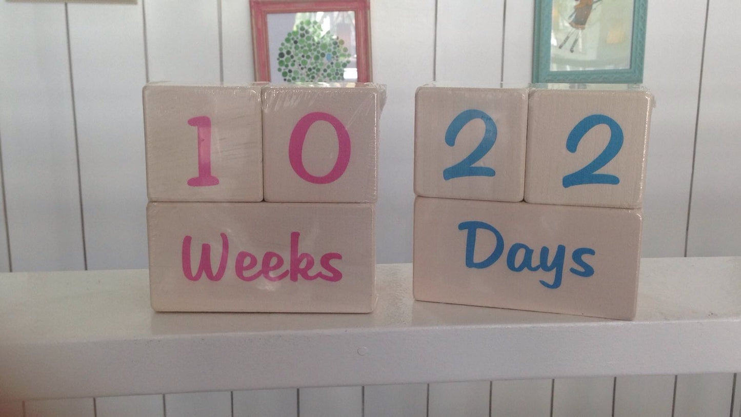 Maple Landmark Photo Prop Blocks