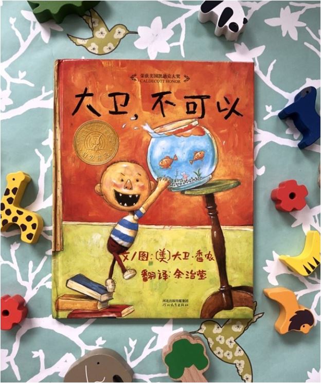 BaoBao　Babies　Mandarin　Book　Toddler　David!　Baby　–　Chinese　No,　大卫,不可以!　Edition