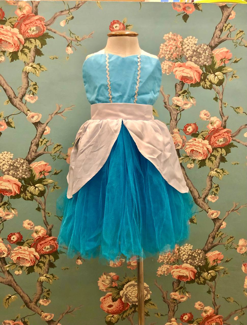 Celestina & Co. Cinderella Inspired Apron Dress