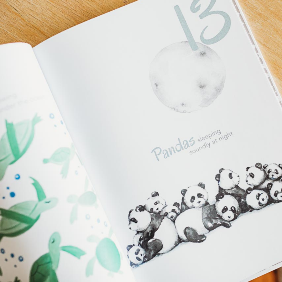 Adored Illustrations The Incredible 123 Book