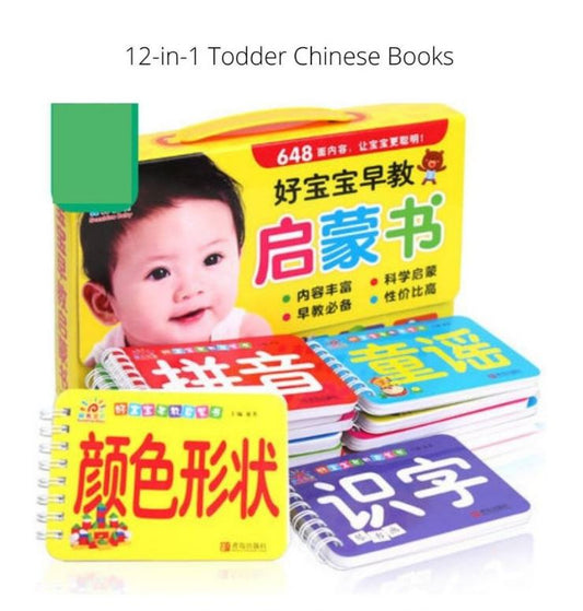 12 in 1 Toddler Chinese FLASH CARDS