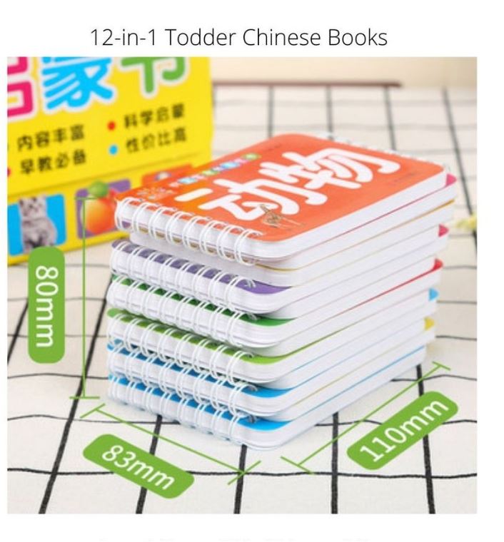 12 in 1 Toddler Chinese FLASH CARDS