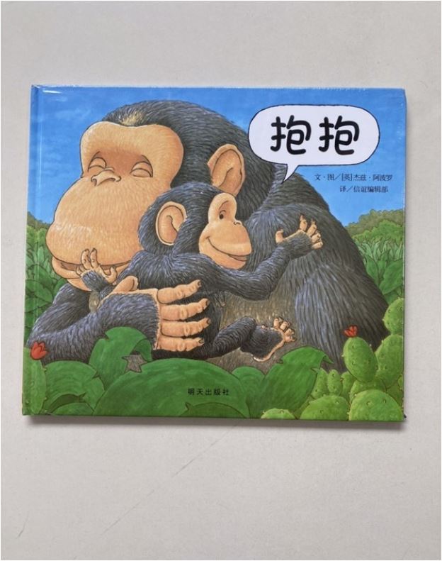 抱抱 Hug - Chinese Mandarin Edition Baby Toddler Book