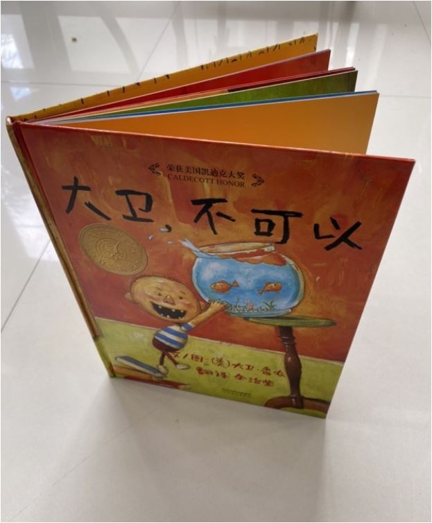 大卫,不可以! No, David! Chinese Mandarin Edition Baby Toddler Book